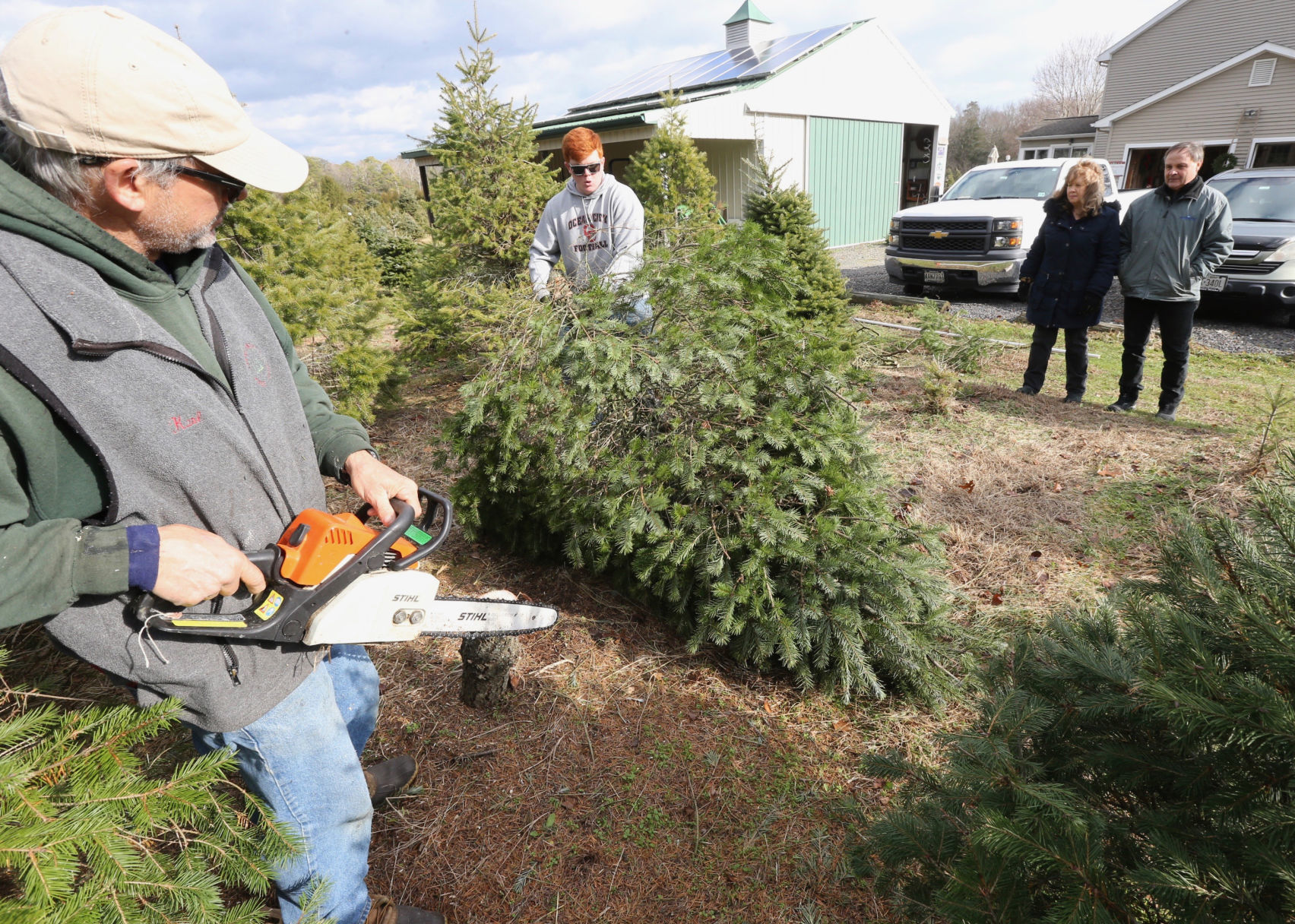 Littleworth Christmas Tree Farm